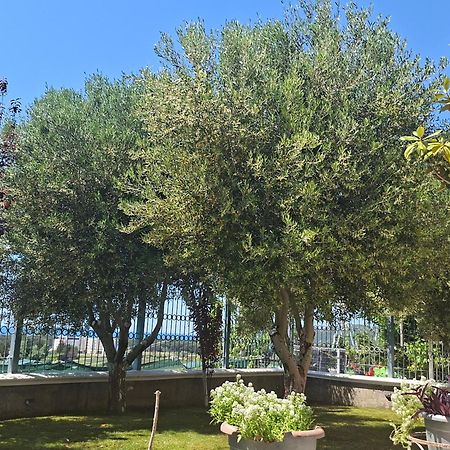 Villa Luiss Panorama ดูร์เรส ภายนอก รูปภาพ