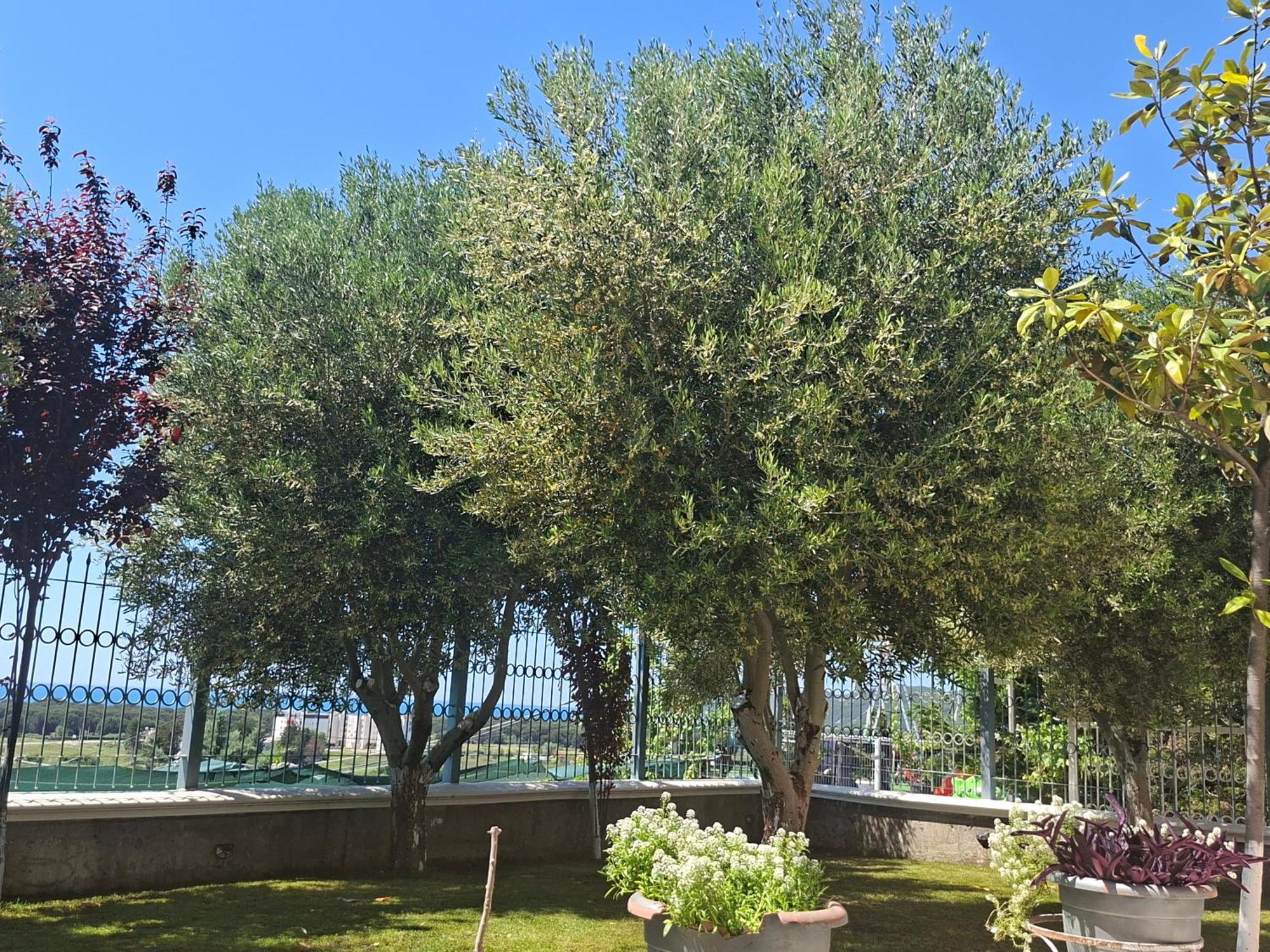 Villa Luiss Panorama ดูร์เรส ภายนอก รูปภาพ